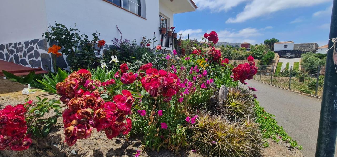 Vivienda Vacacional Lulu טיחראפה מראה חיצוני תמונה